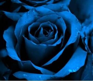 Foto publica di SIRUS