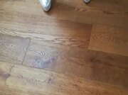 Amateur Video of MillyMilly